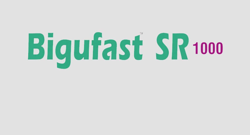 bigufastsr1000