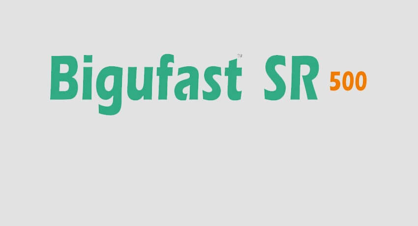 bigufastsr500